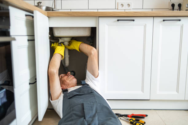 Best Plumbing Installation Services  in Canadian Lakes, MI
