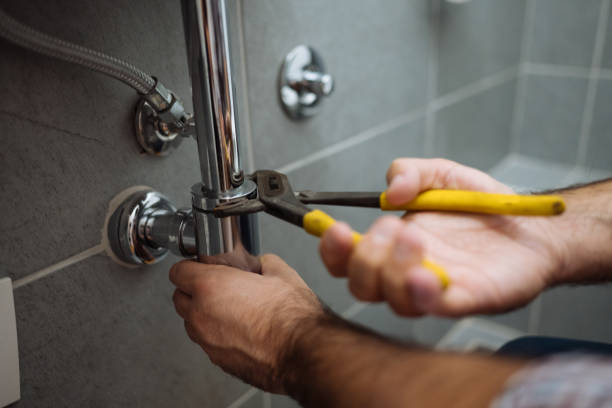 Best Leak Detection Services  in Canadian Lakes, MI