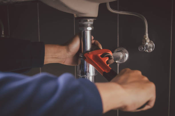 Best Plumbing Inspection Services  in Canadian Lakes, MI