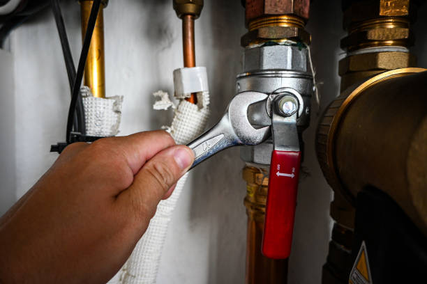 Best Clogged Drain Plumber  in Canadian Lakes, MI